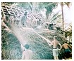 Tobi Island 1961