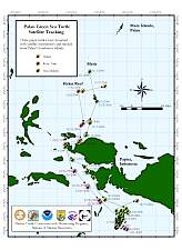 Palau sea turtle tracking map