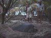 dom dave and turtle0800.jpg (67548 bytes)