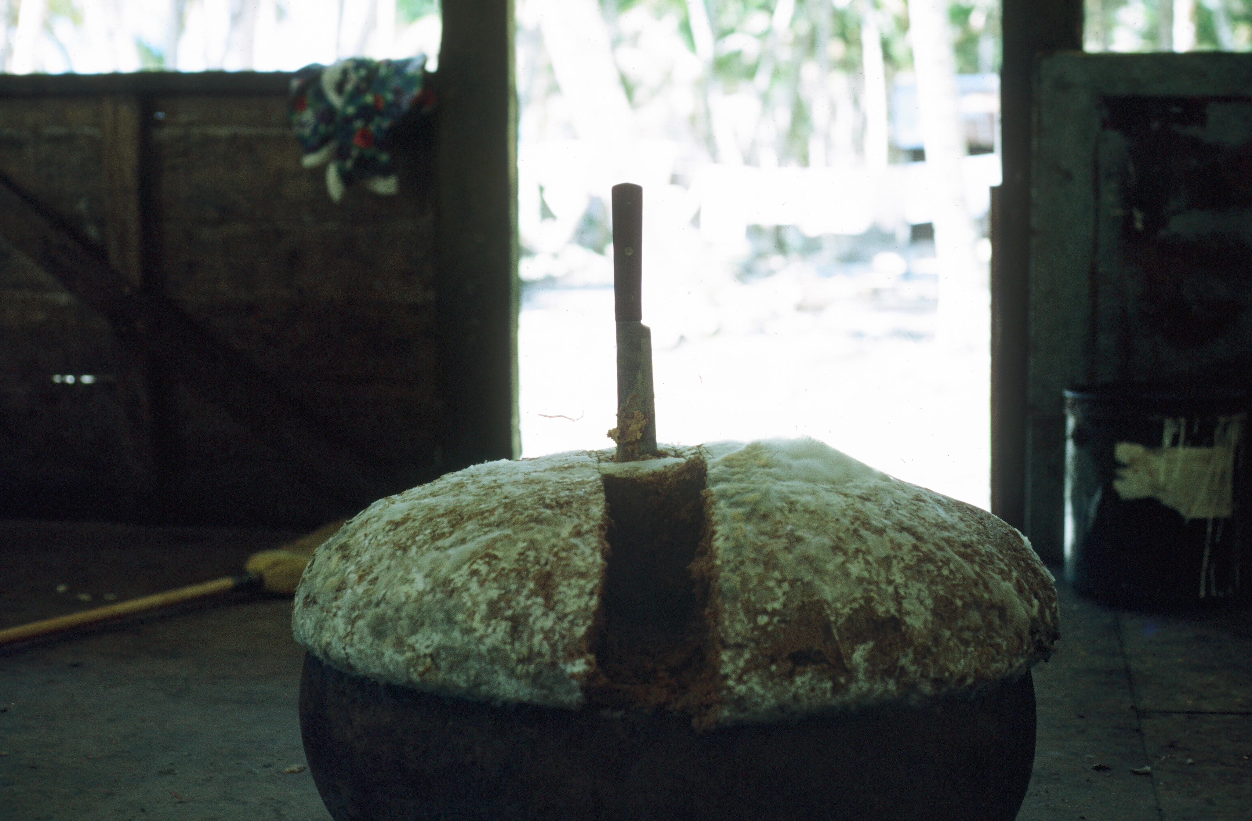big bowl of taro in the abai