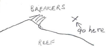 Line drawing of reef
